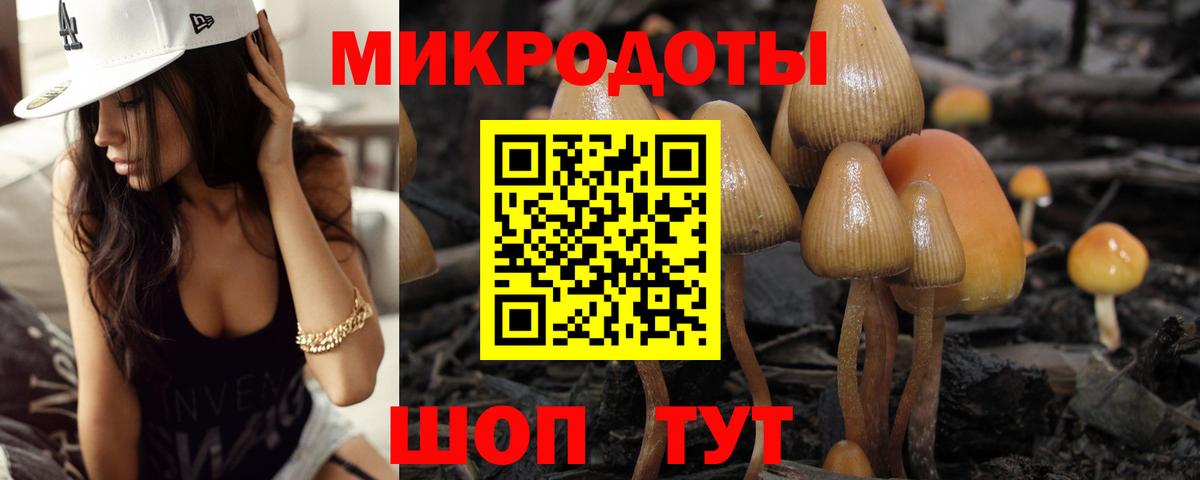 Псилоцибиновые грибы Psilocybe  Вход с VPN  Тутаев 